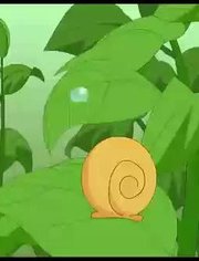 保定人唱保定歌-视频在线观看- 我不是肉圈妹妹