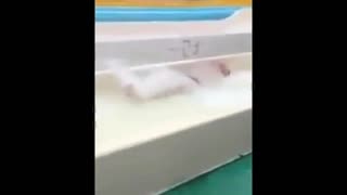 实拍瑜珈情趣穿女子酒店露g奶开球-实拍豹纹玩水滑梯泄内衣露胸椅上海春光女神图片