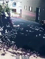 秒速五厘米-热门视频在线观看-爱奇艺