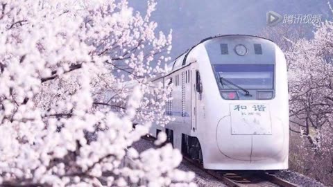 花海歌词【www.tu163.com】