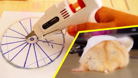 为发福的仓鼠制作大号滚轮!结果却是这样!